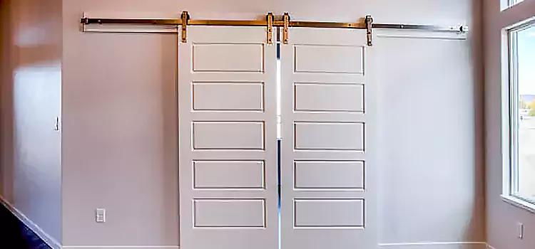 Glass Barn Door with Installation Hardware Kit Richmond