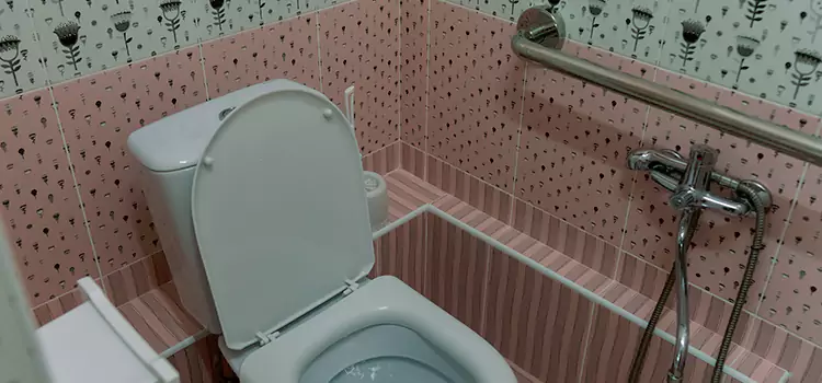 Meeting Diverse Needs With Accessible Restroom Solutions in Richmond, VA