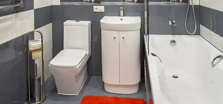Hansgrohe Shaving Mirror Richmond